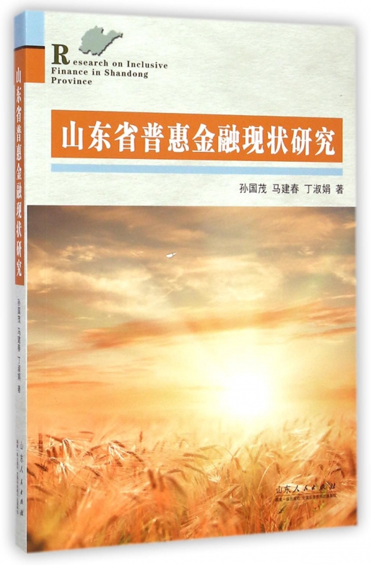 山东省普惠金融现状研究
