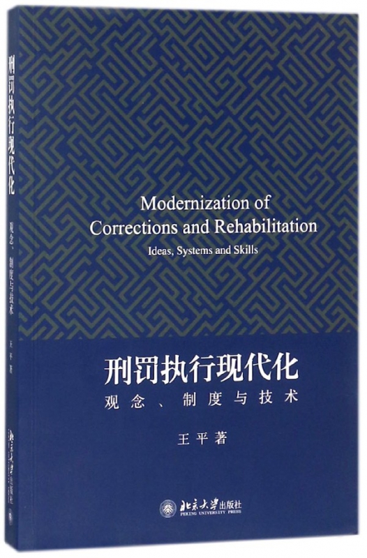 刑罚执行现代化(观念制度与技术)
