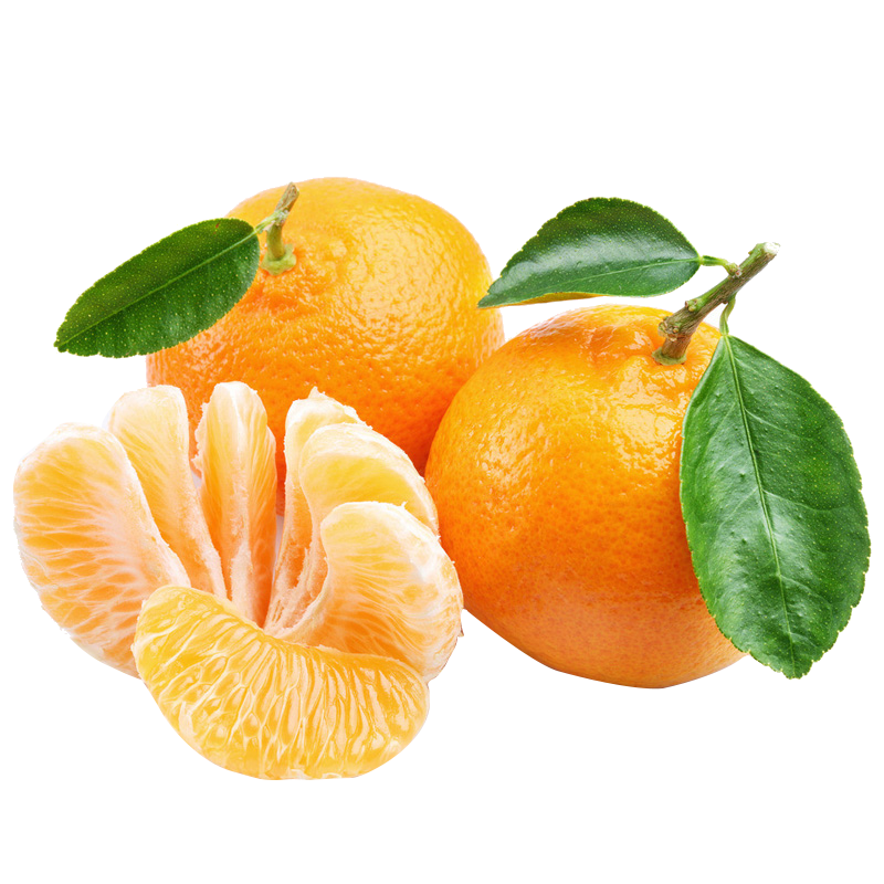京觅桔橘：让你的健康生活更美好