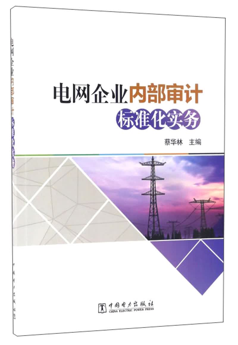 电网企业内部审计标准化实务