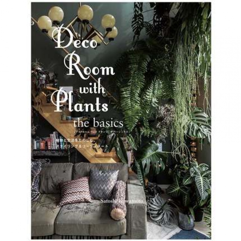 Deco Room with Plants the basics 与植物一起生活—基础装饰篇
