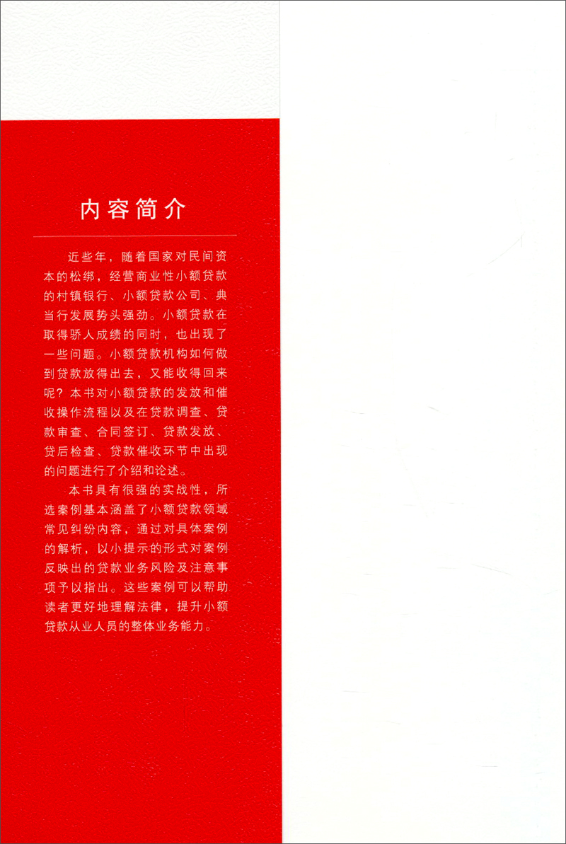 正版现货 小额贷款实务操作与法律风险防控9787513631860