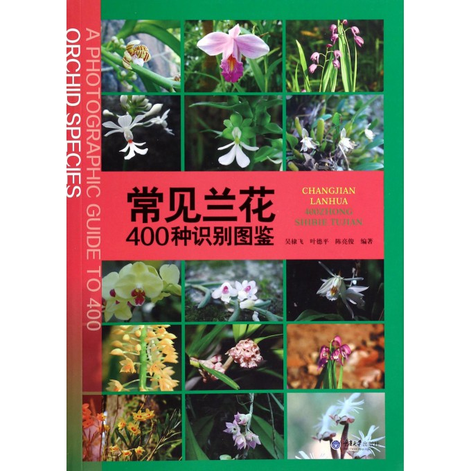 常见兰花400种识别图鉴