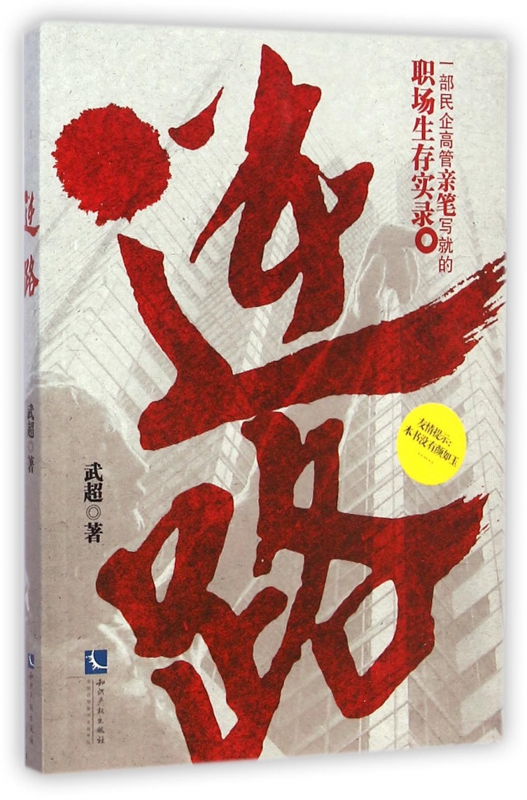 逆路(一部民企高管亲笔写就的职场生存实录)