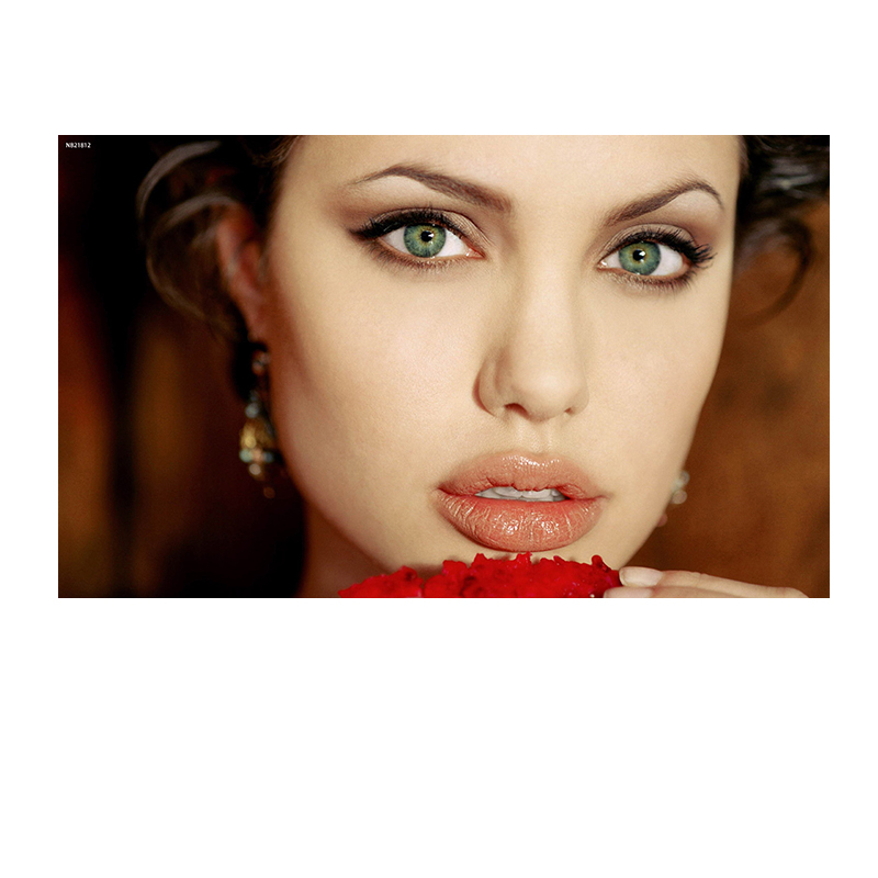 居梦坞 安吉丽娜朱莉好莱坞电影女明星海报宿舍酒吧室内装饰画报海报