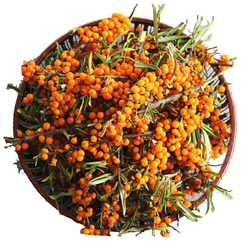 zxc山西新鲜沙棘果鲜果 去枝瓶装可做酵素榨汁 醋柳果沙棘果原汁山果