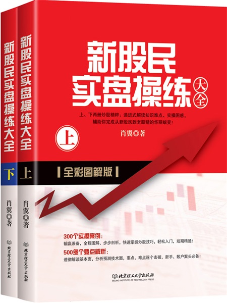 新股民实盘操练大全（套装上下册）
