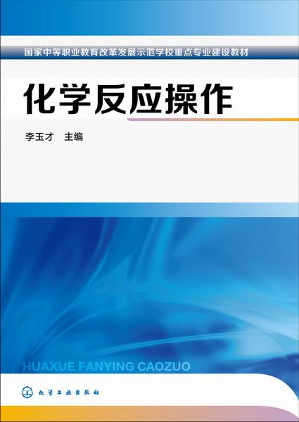 化学反应操作 李玉才 主编
