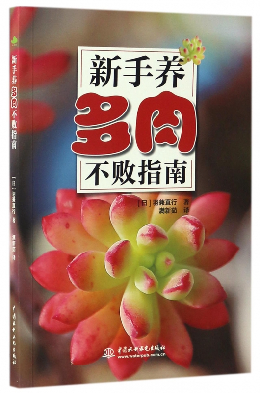 新手养多肉不败指南