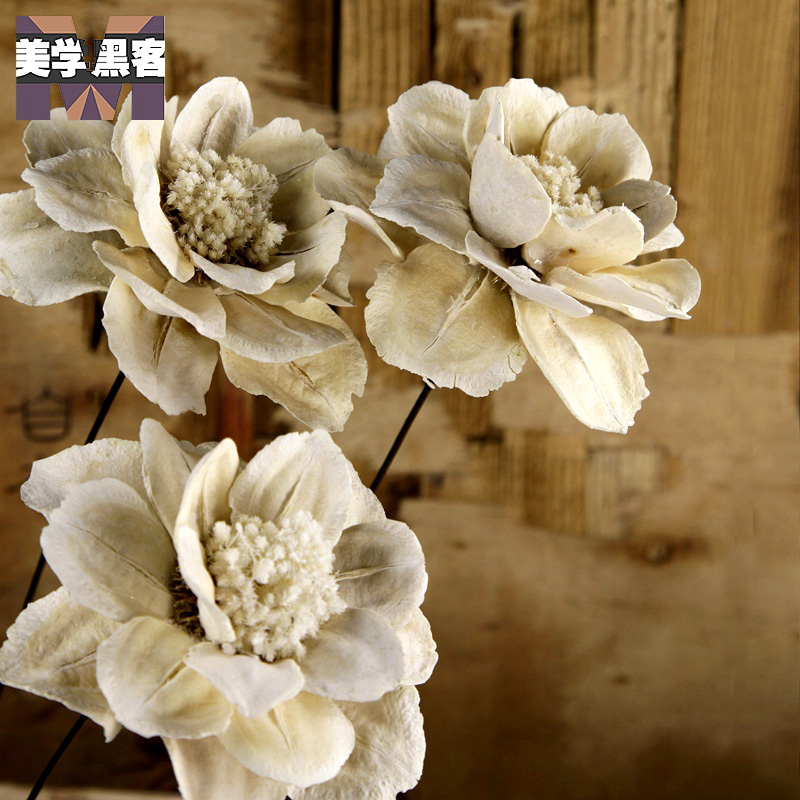 美学黑客 白玉牡丹干花花束插仿真花干花仿真花假花落地客厅装饰花 单
