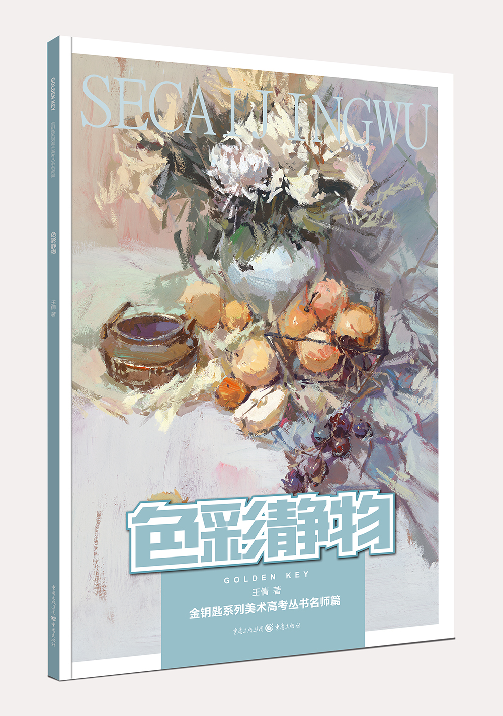 绘画图书色彩静物 色彩静物