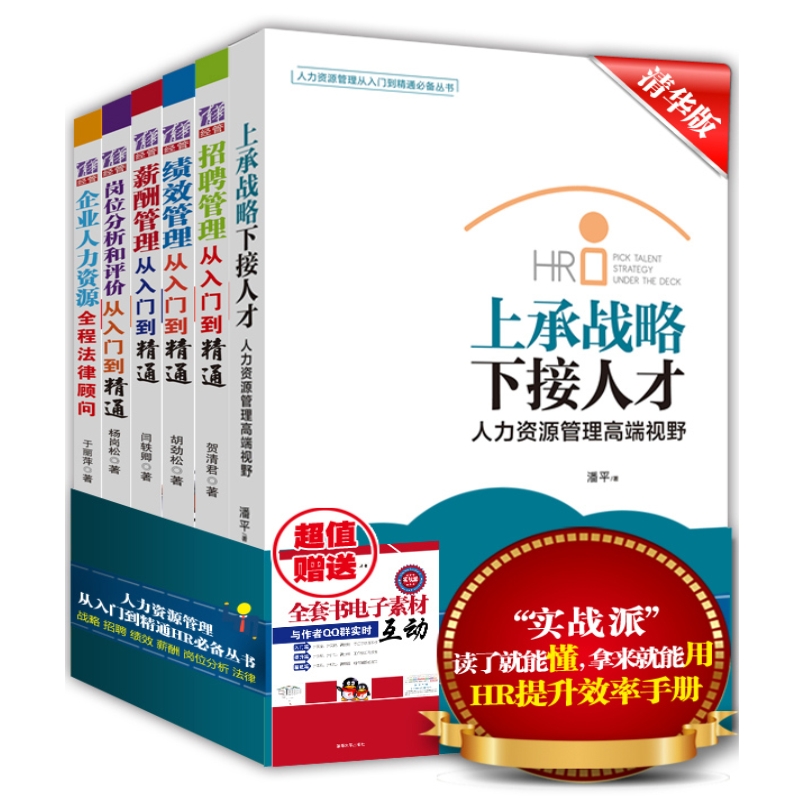 人力资源管理从入门到精通HR丛书:战略+