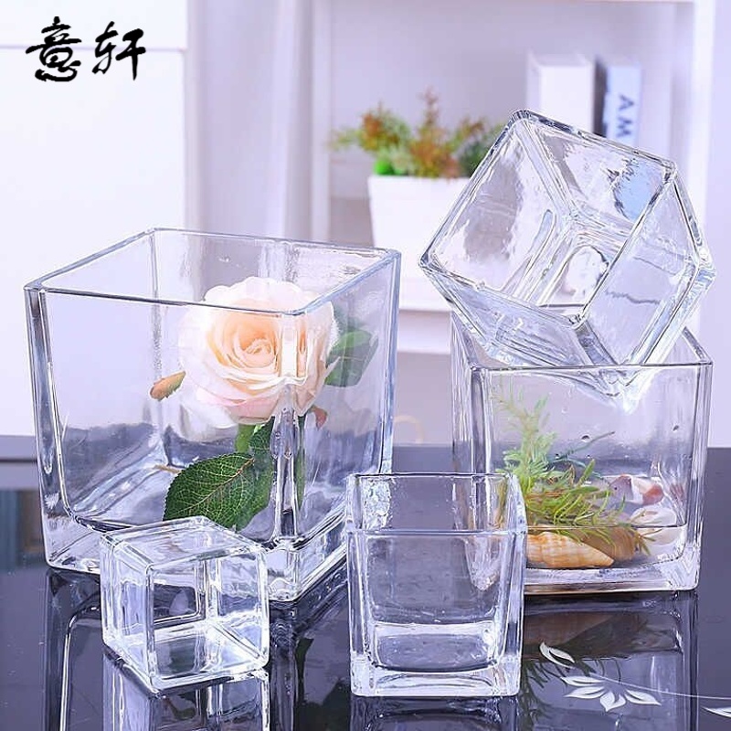 意轩  玻璃方缸 透明玻璃花盆 正方形 水培透明多功能 玻璃盆子水培容器 6*6方缸（破损包赔） 中等