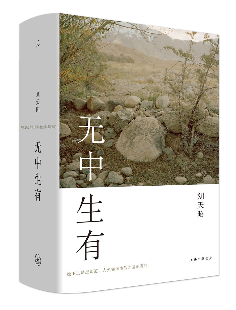 无中生有9787542663559 京东正版现货