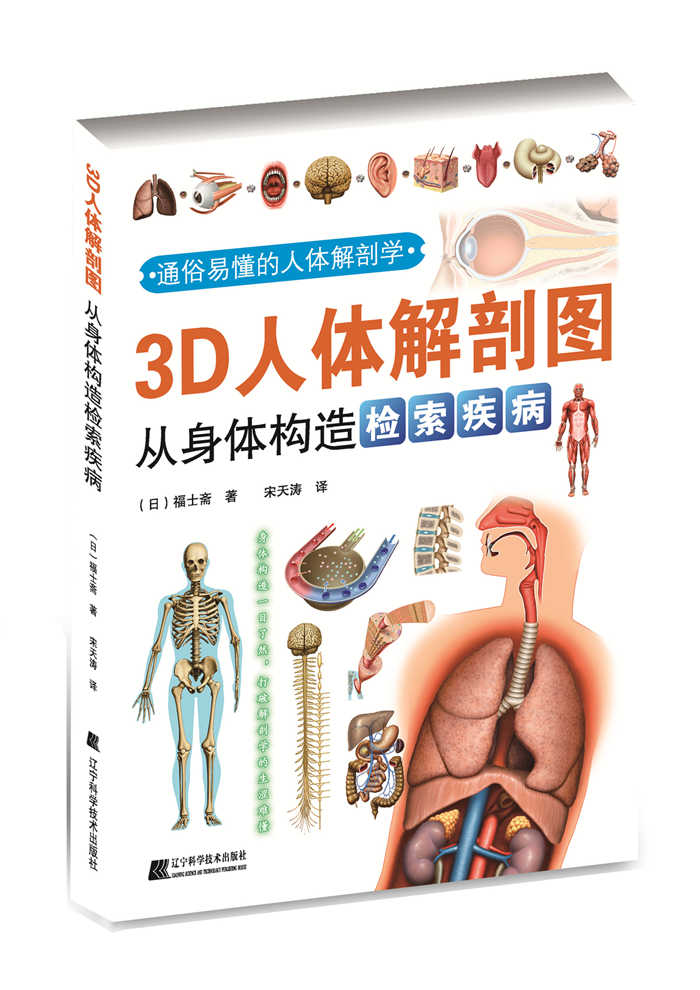 3d人体解剖图:从身体构造检索疾病