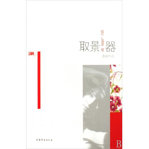 取景器(鲁敏作品)/红小说