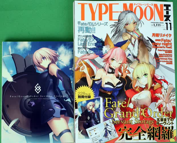 日版 TYPE-MOON ACE VOL.11 Fate/EXTRA FGO