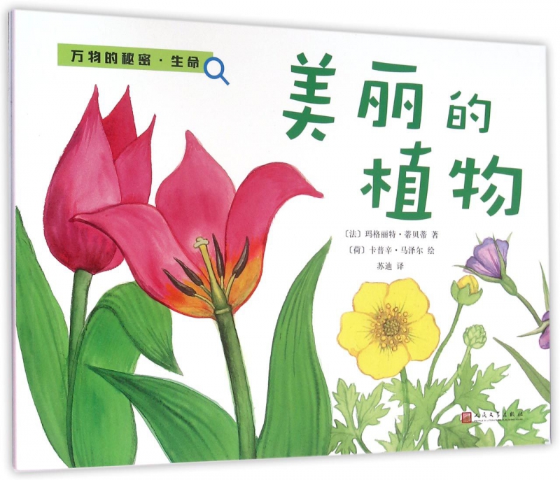 美丽的植物/万物的秘密