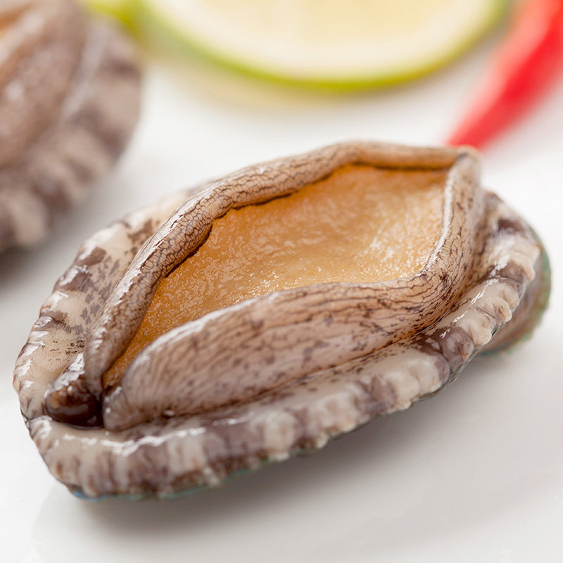 味库营养十足鲜活鲍鱼