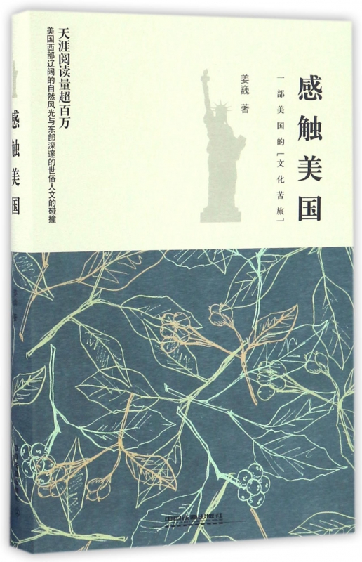 感触美国