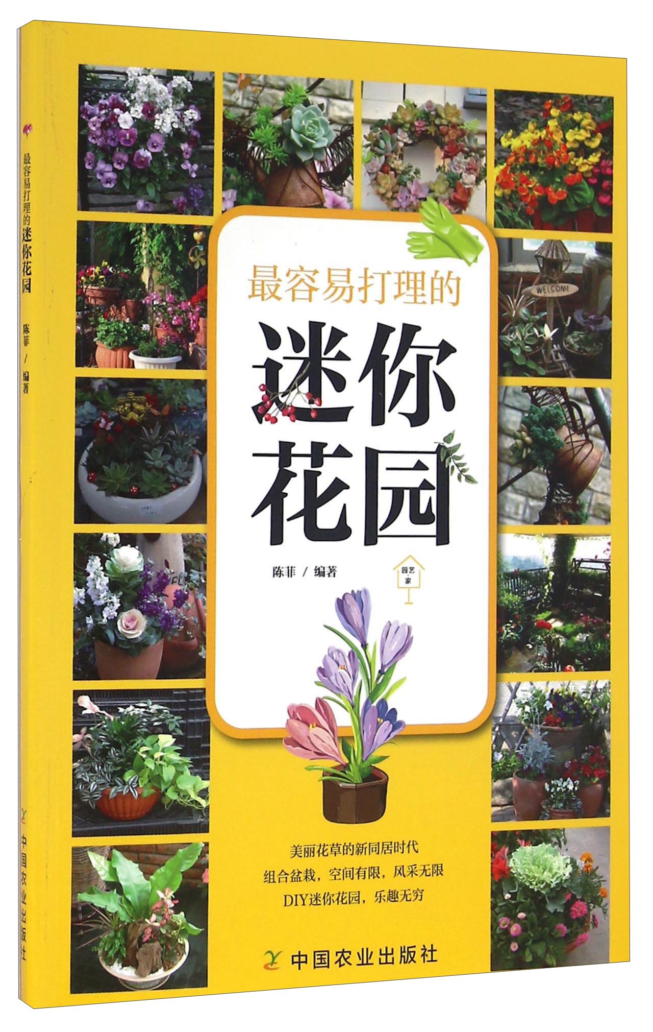 最容易打理的迷你花园