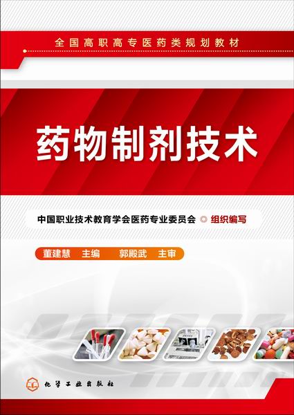 药物制剂技术 董建慧 主编