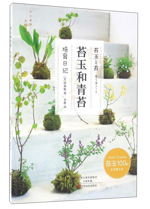 苔玉和青苔 培育日记