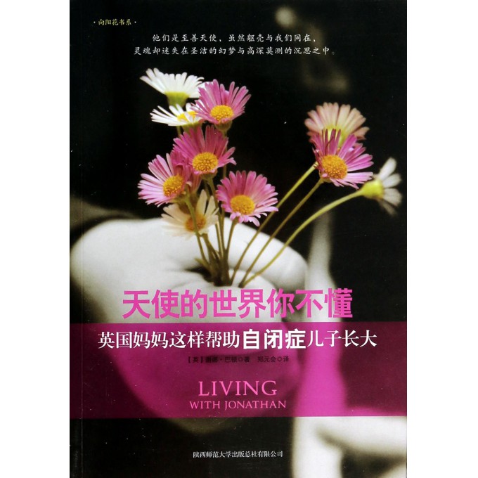 天使的世界你不懂(英国妈妈这样帮助自闭症儿子长大)/向阳