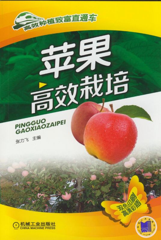 苹果高效栽培 张力飞主编