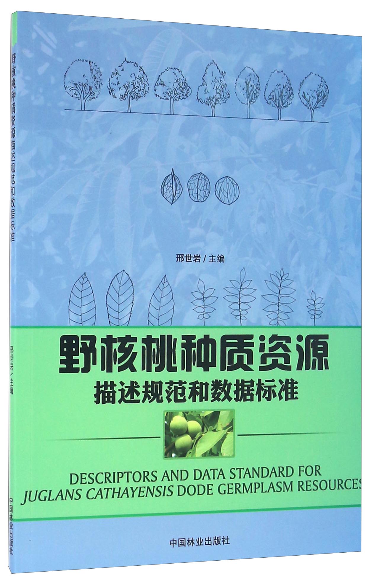 野核桃种质资源描述规范和数据标准
