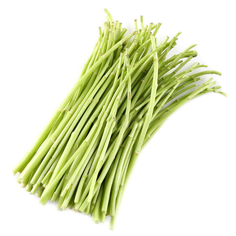 zxc芦蒿新鲜藜蒿1.5kg 净菜去叶青篱蒿 泥蒿茼蒿娄蓠蒌蒿蔬菜