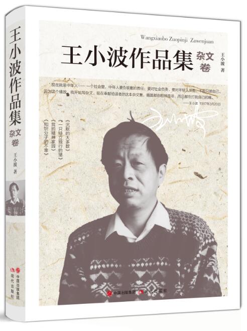 王小波作品集.杂文卷