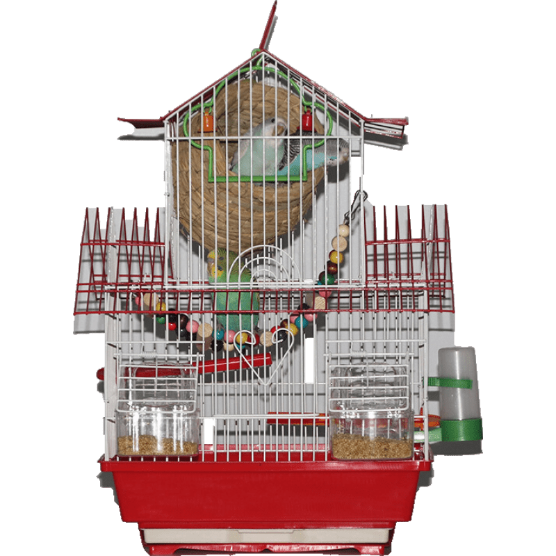 稳定价格的朗缤品牌鸟类用品推荐|京东看鸟类用品历史价格曲线