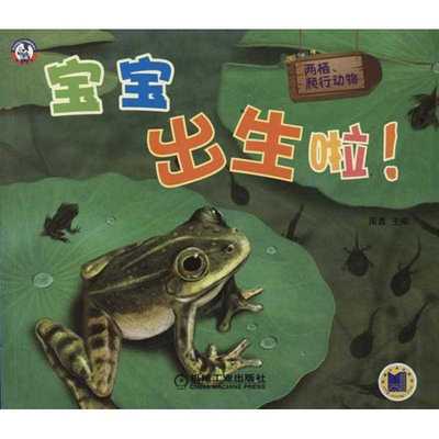 宝宝出生啦！两栖、爬行动物