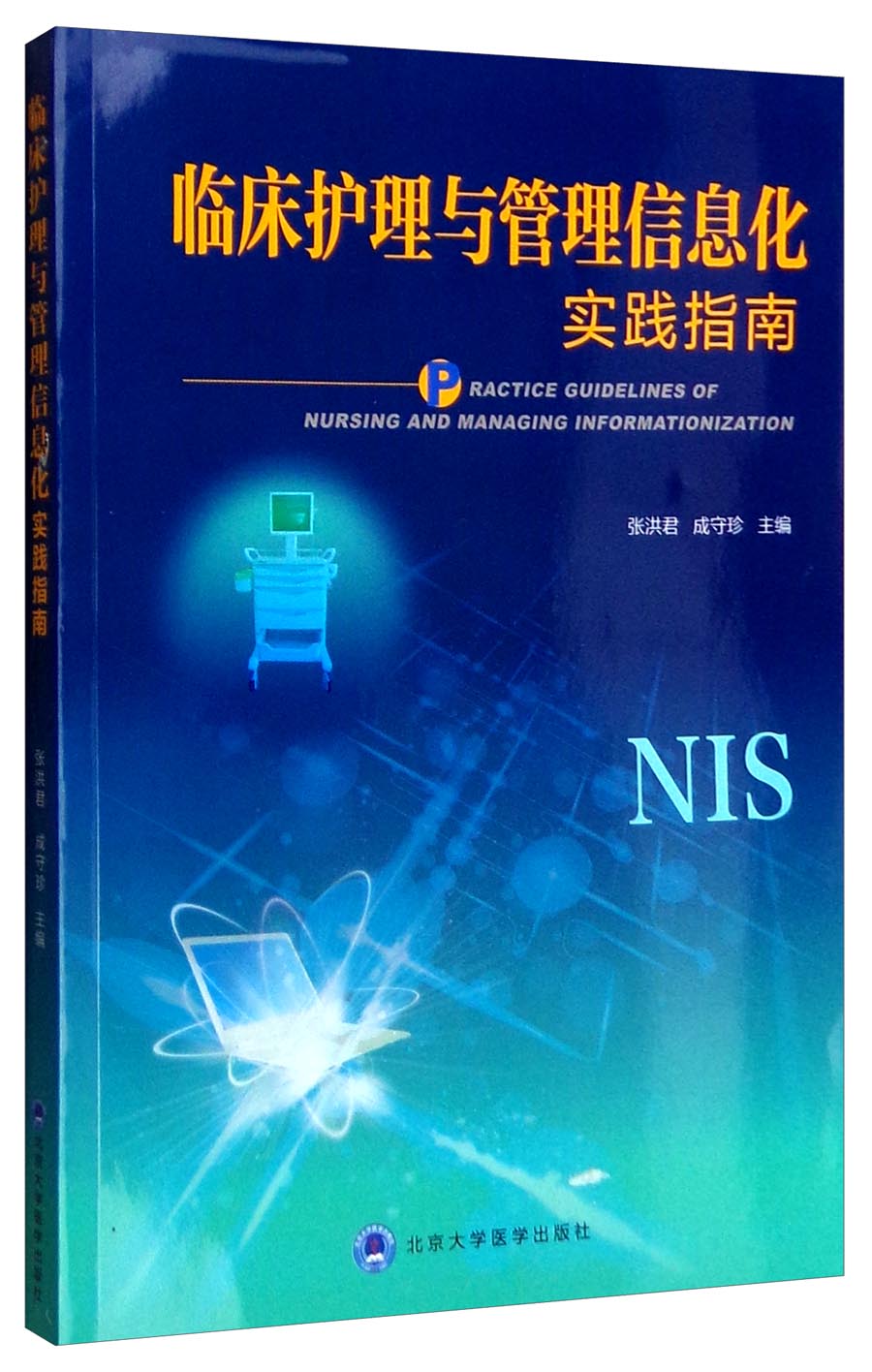 临床护理与管理信息化实践指南