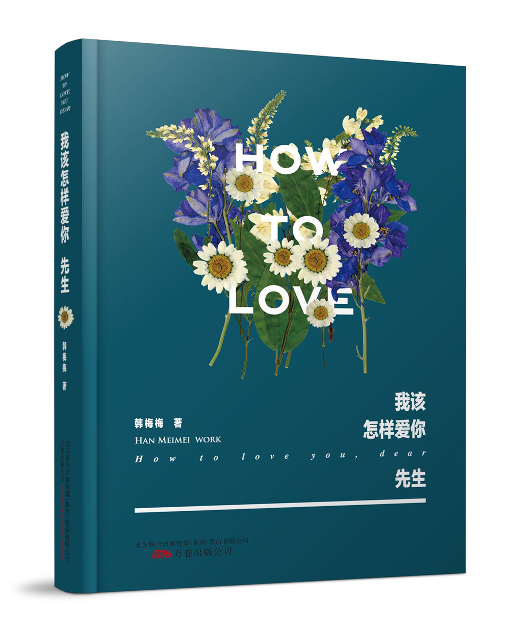 我该怎样爱你，先生