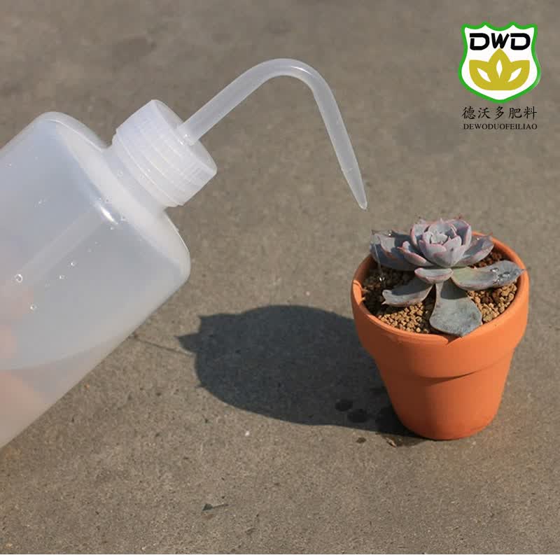 德沃多 多肉植物专用喷壶 挤压式尖嘴浇水瓶 浇水利器 浇水壶 多肉