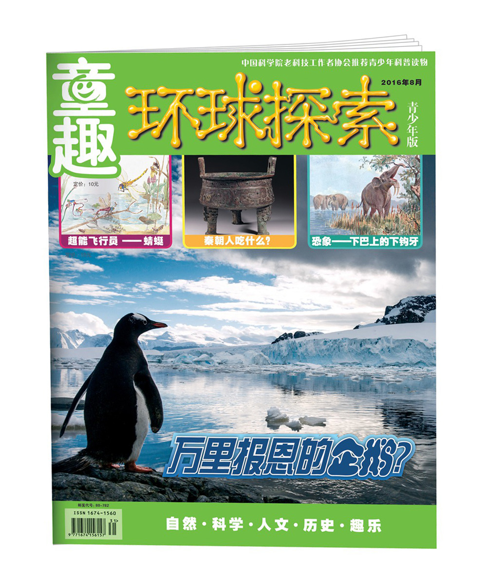 童趣-环球探索-201608期