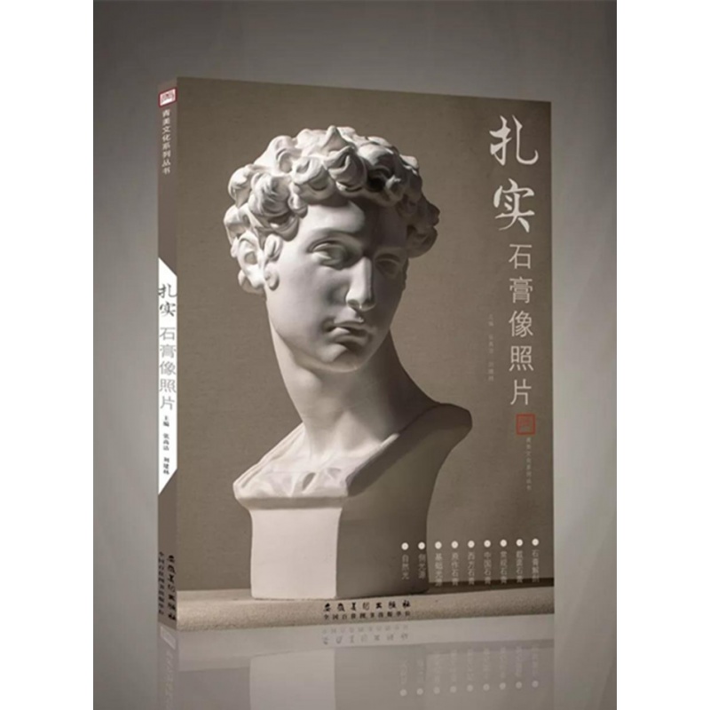 扎实石膏像照片2019青美文化素描石膏五