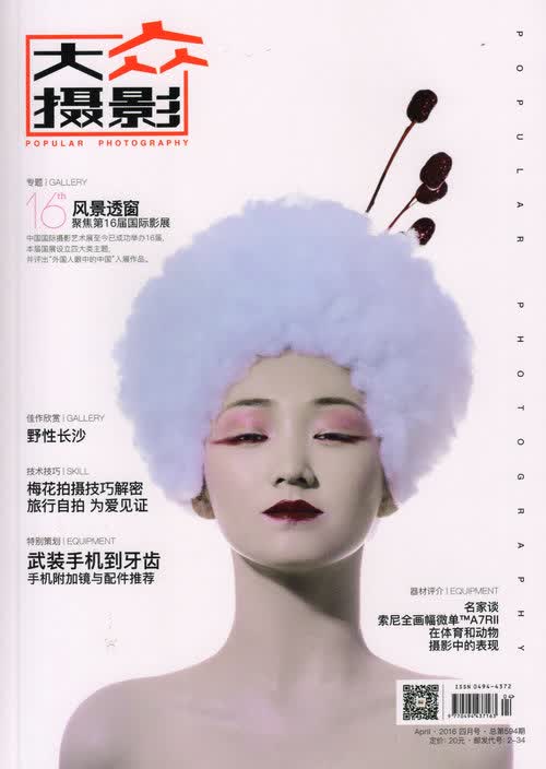大众摄影（2016年4A月号）