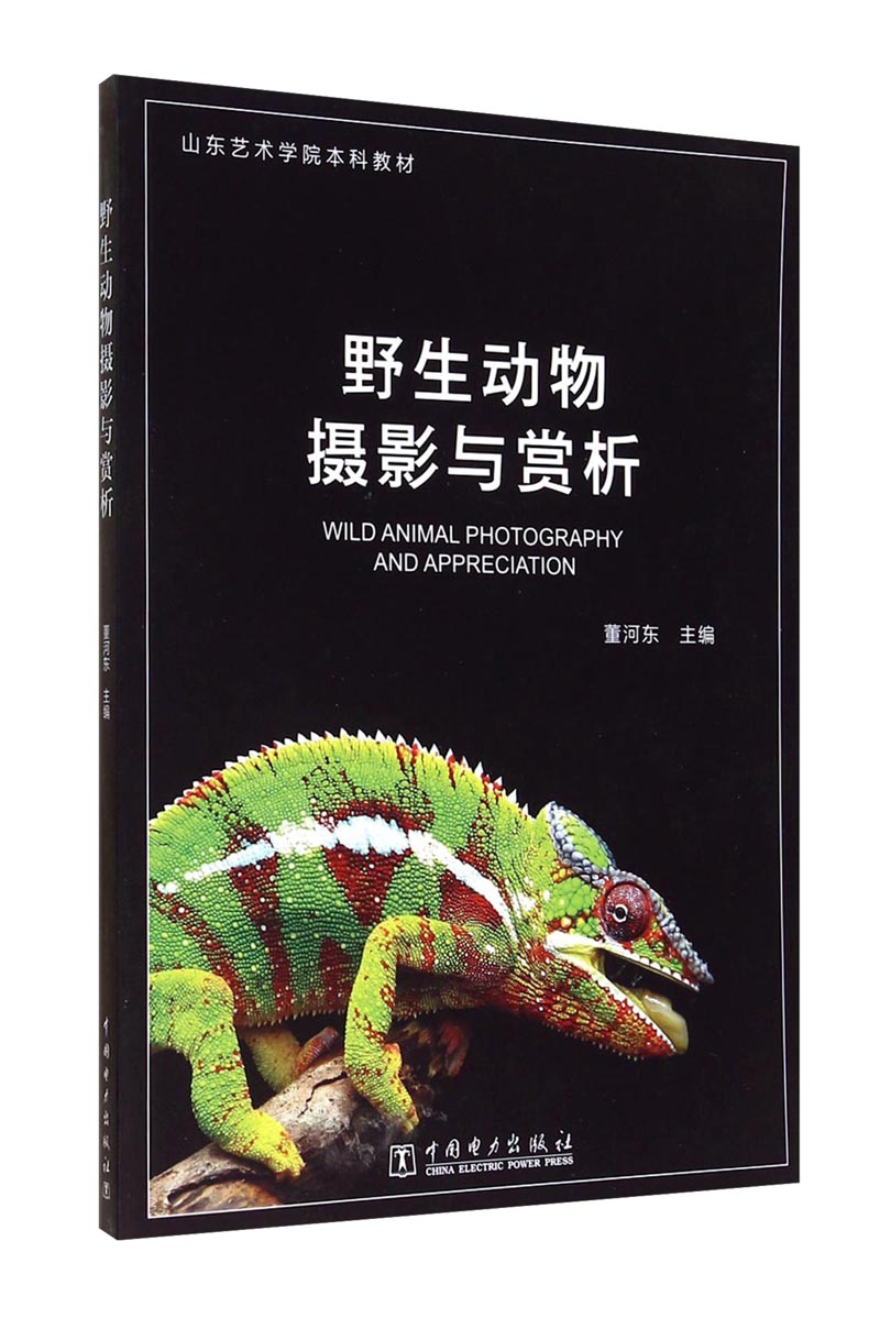 野生动物摄影与赏析/山东艺术学院本科教材