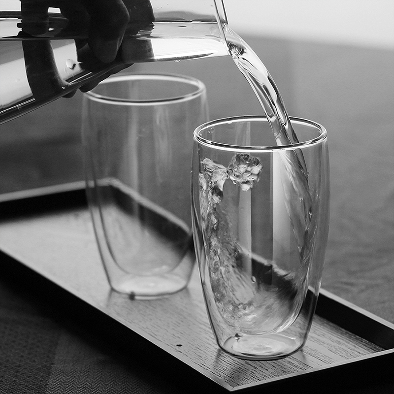 KARPHOME卡普家居 双层耐热不烫手玻璃杯牛奶杯家用办公水杯果汁杯大容量喝水杯透明杯子450ML 450ML两只装