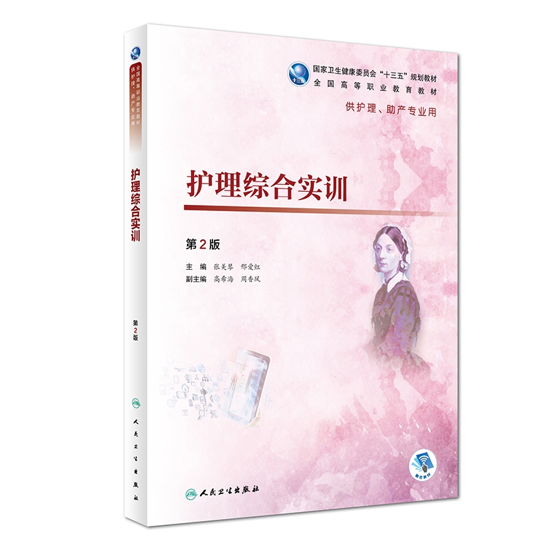 护理综合实训（第2版/高职护理/配增值）