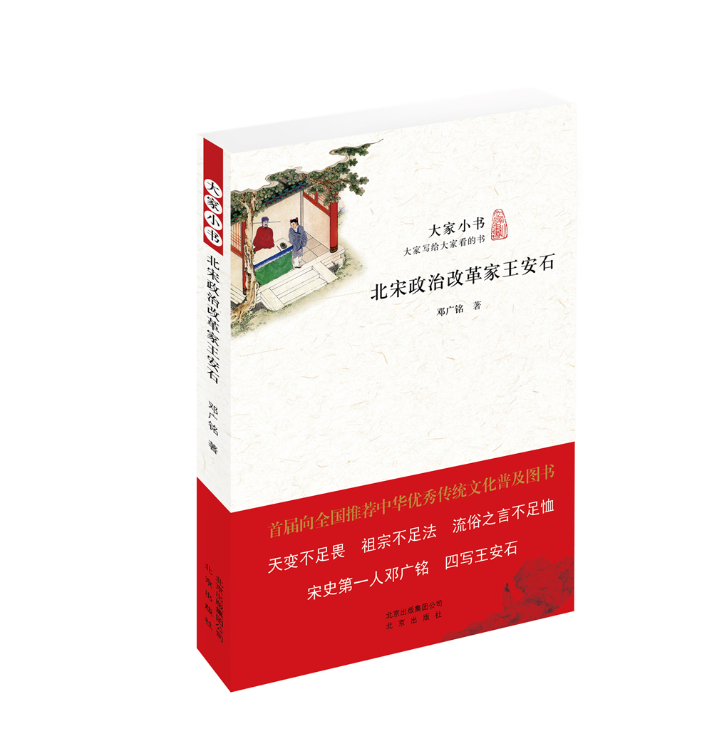 大家小书 北宋政治改革家王安石