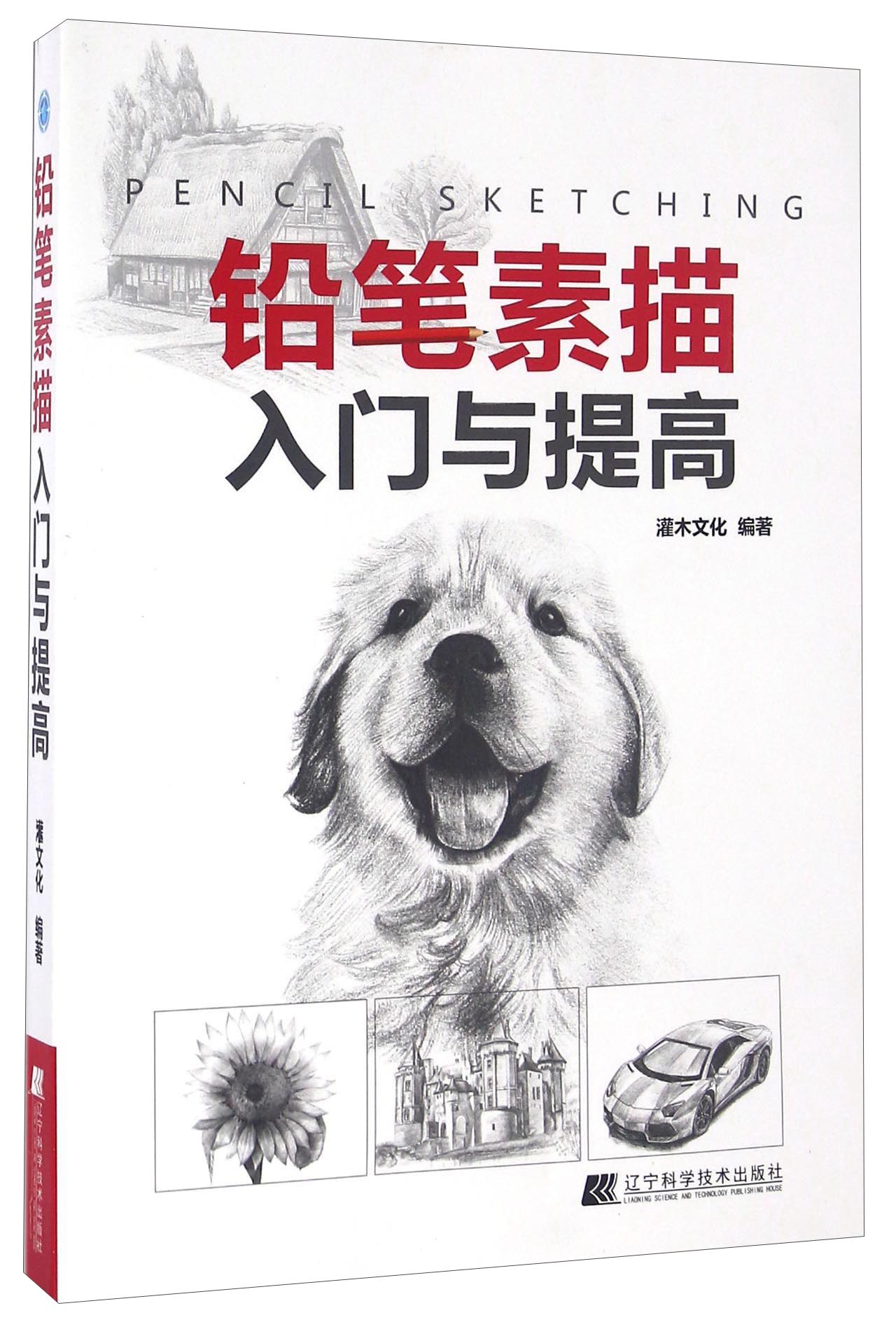 铅笔素描入门与提高