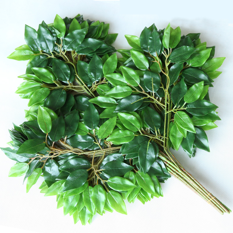 ��ѩ�����滨�ٻ�����װ�λ���������֦��Ҷ����Ҷ��Ҷֲ�����Ҷ �����潺������Ҷ ��֦