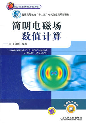 简明电磁场数值计算 王泽忠