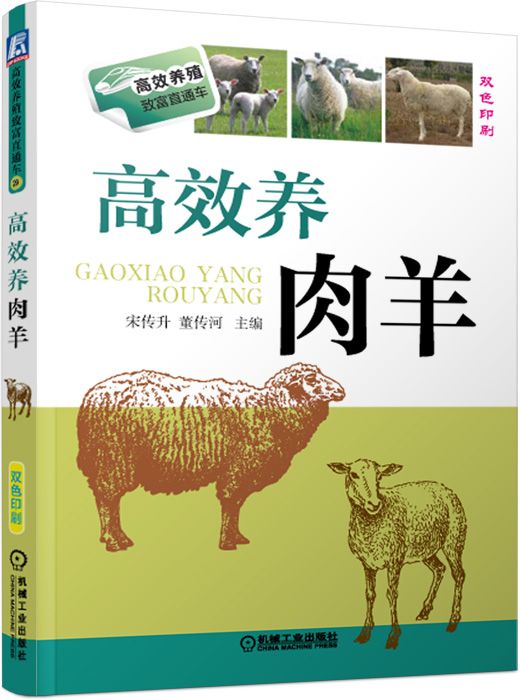 高效养肉羊(双色印刷)/高效养殖致富直通车