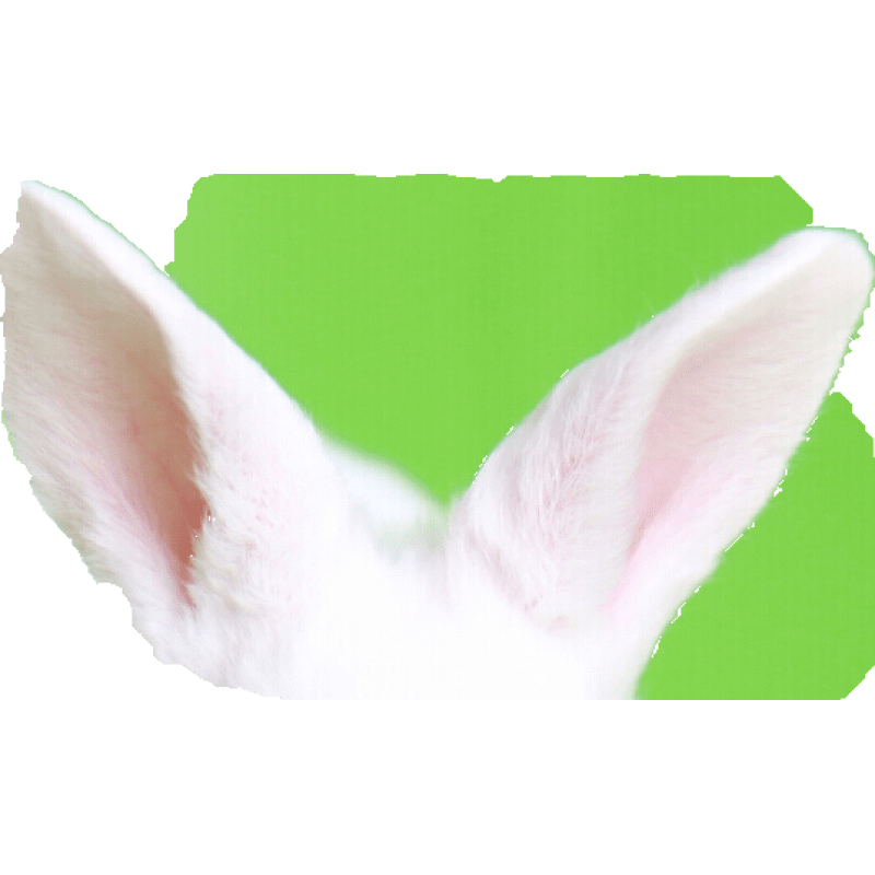 京东看异宠活体最低价|异宠活体价格走势图