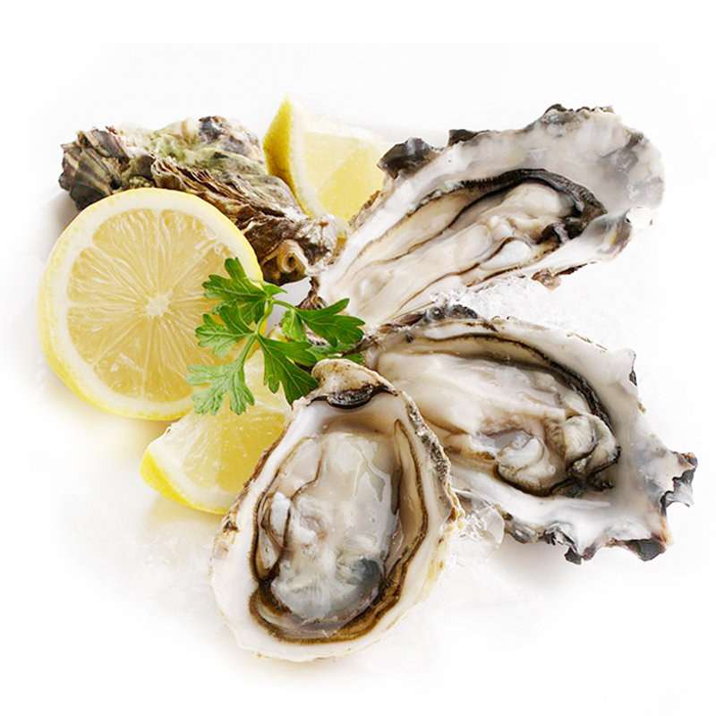 京鲜生法国gillardeau n1鲜活吉拉多生蚝 单只约130g 8只装